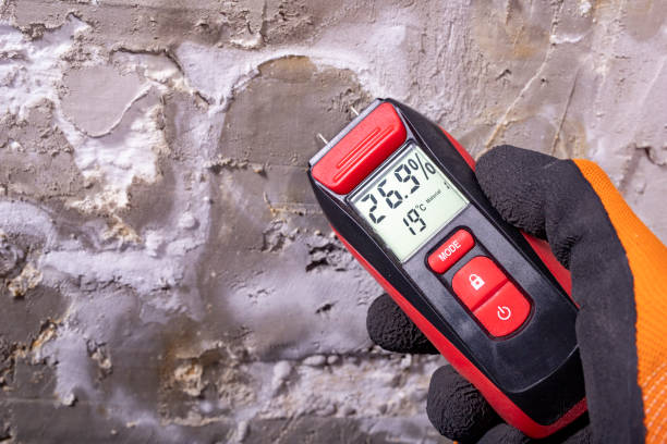 Best Post-Remediation Services in Shepherd, TX