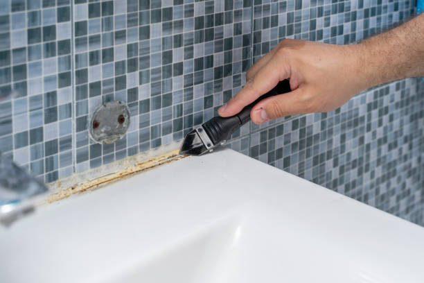 Best Commercial Mold Remediation in Shepherd, TX
